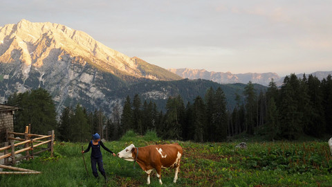 Hunting Alpine Treasure , Bild 13